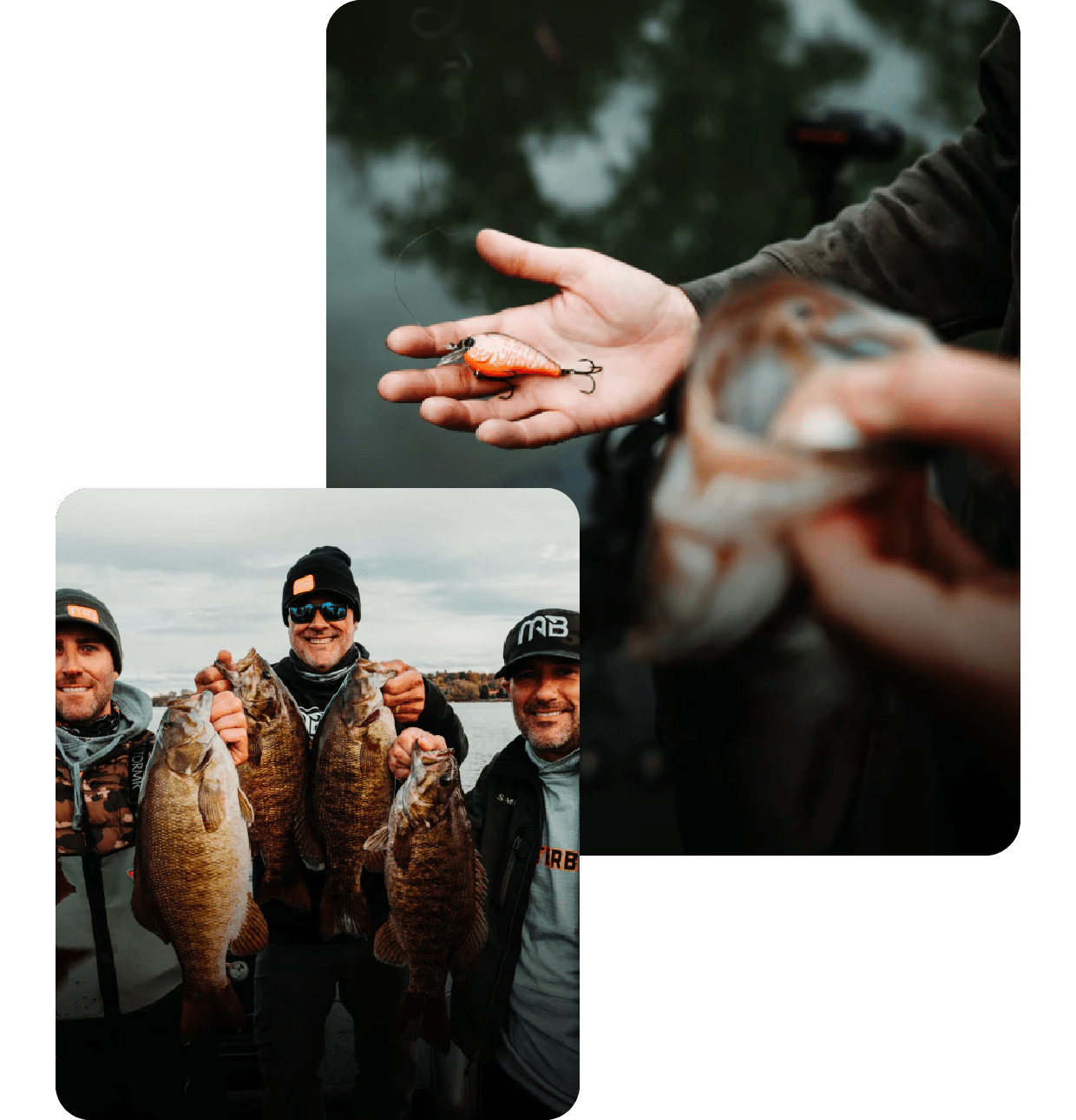 MONSTERBASS